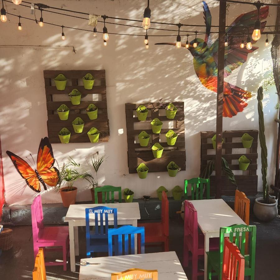 Casa Frida Vila Tulum Exterior foto